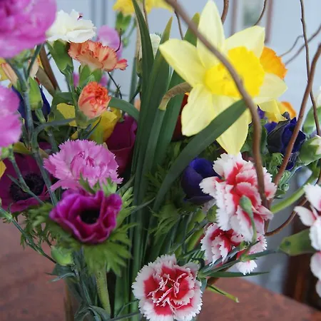 Hôtel Central 2* Pau