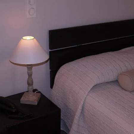 Hotel Hôtel Central Pau