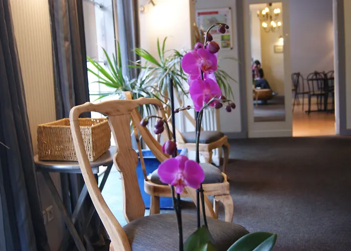 Hotel Central 호텔 포