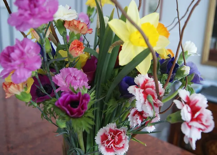 Hotel Central 2* 포