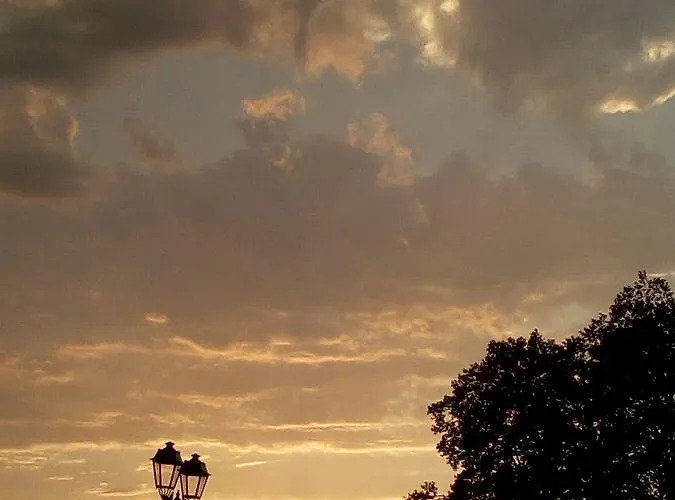 Hotel Central 호텔 포